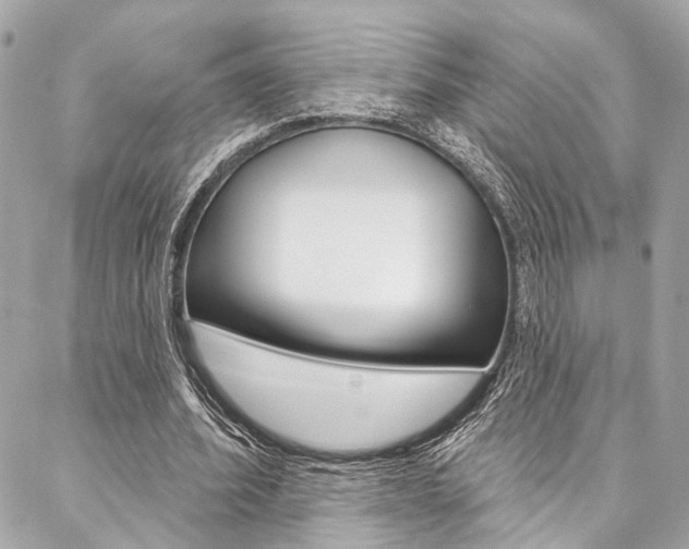 X0000087030580200704161403