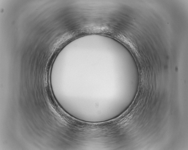 X0000087030582200704161403