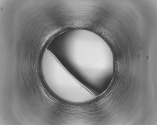 X0000087030588200704161403