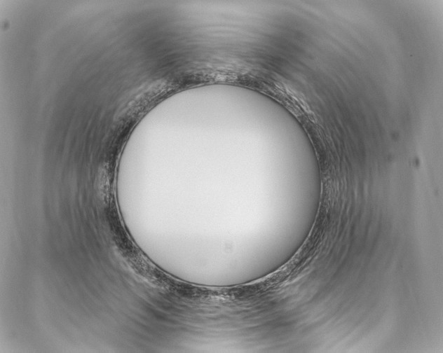 X0000087030594200704161403