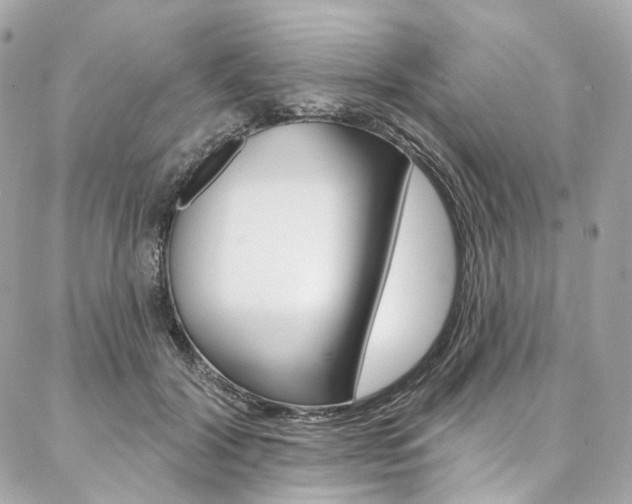 X0000087030604200704161402