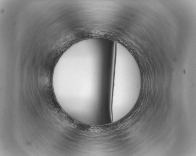 X0000087030608200704161402