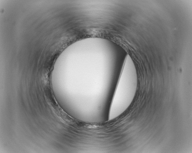 X0000087030611200704161402