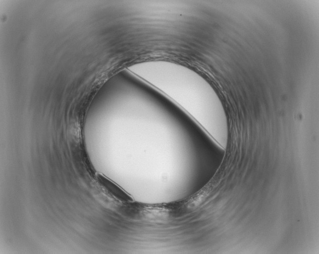 X0000087030617200704161402