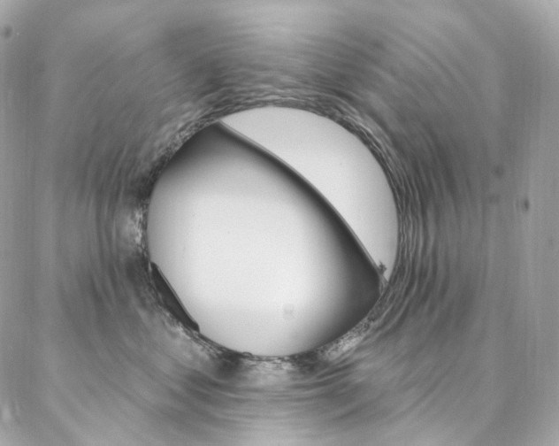 X0000087030621200704161402