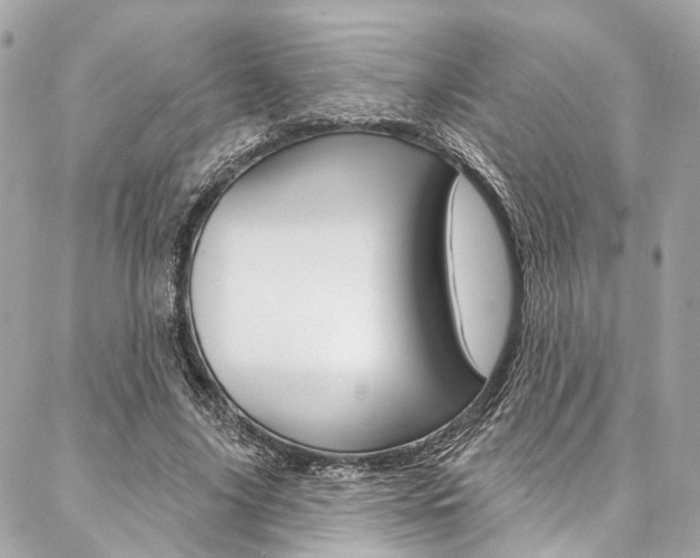 X0000087030635200704161401