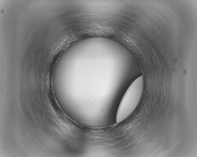 X0000087030642200704161402