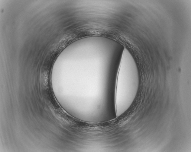 X0000087030646200704161402