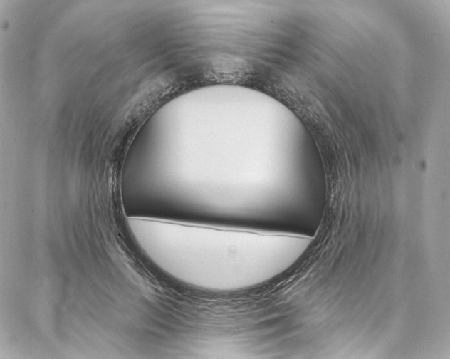 X0000087030647200704161402