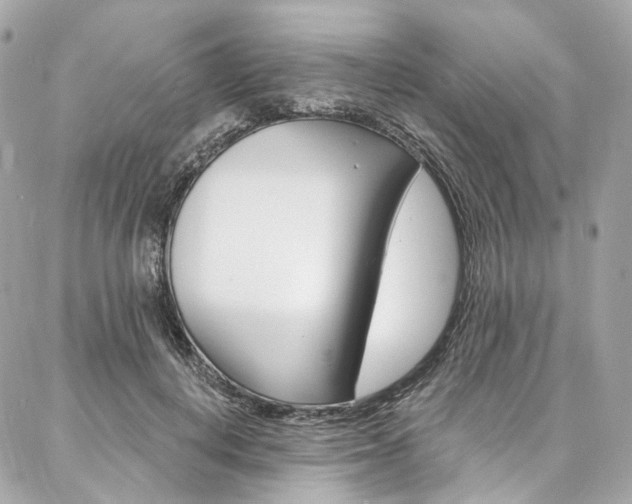 X0000087030648200704161402