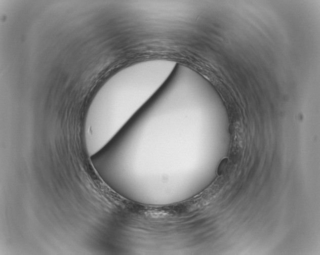X0000087030650200704161402