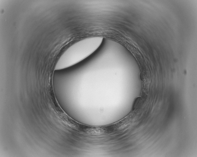 X0000087030652200704161402