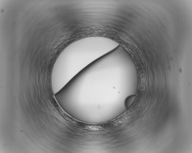 X0000087030654200704161402