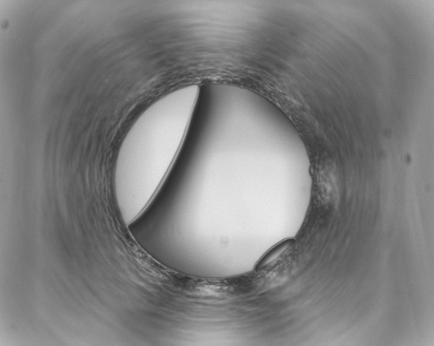 X0000087030657200704161402