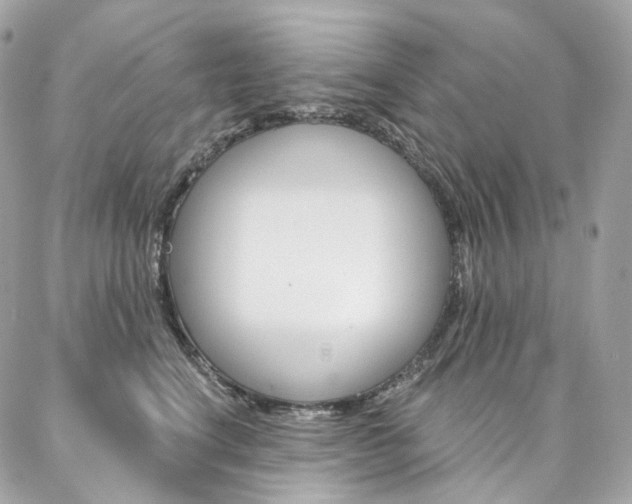 X0000087030664200704161402