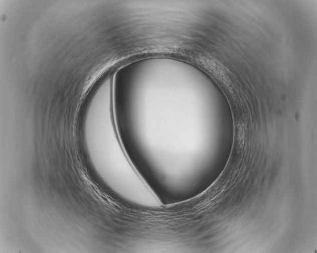 X0000087030676200704161401