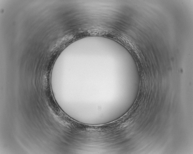 X0000087030690200704161401