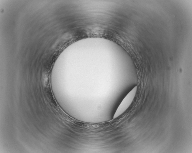 X0000087030709200704161401