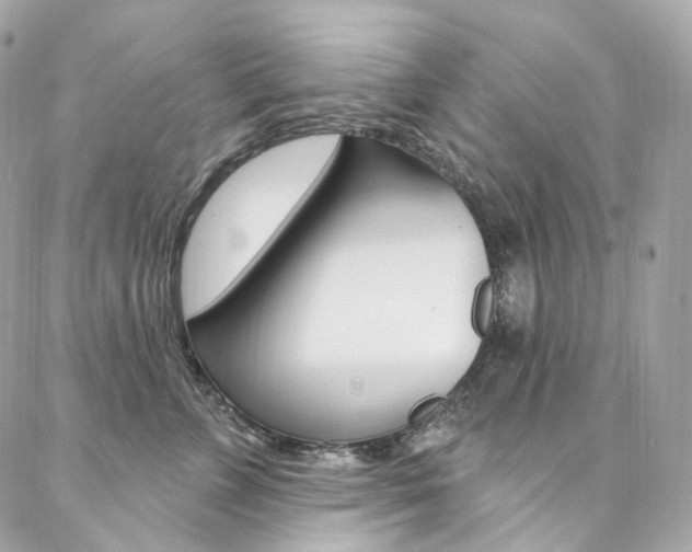 X0000087030715200704161401