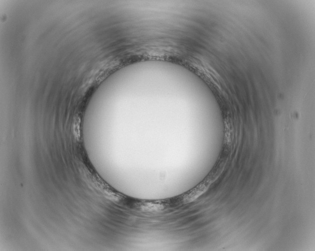 X0000087030718200704161401