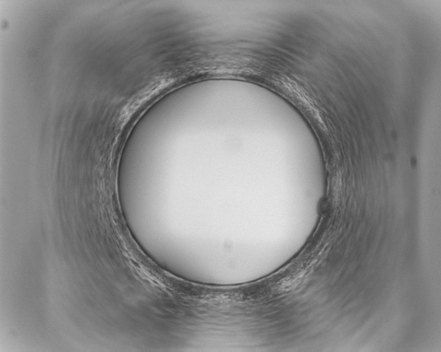 X0000087030721200704161400