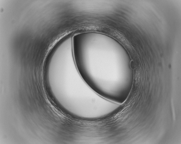 X0000087030722200704161400