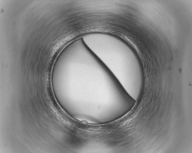 X0000087030725200704161400