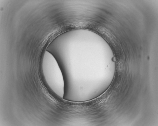 X0000087030733200704161400