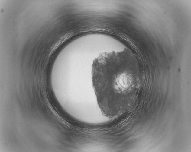 X0000087030734200704161400