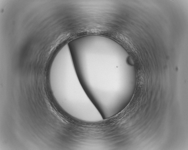 X0000087030738200704161400