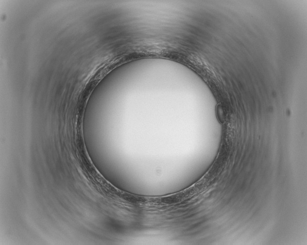 X0000087030739200704161400