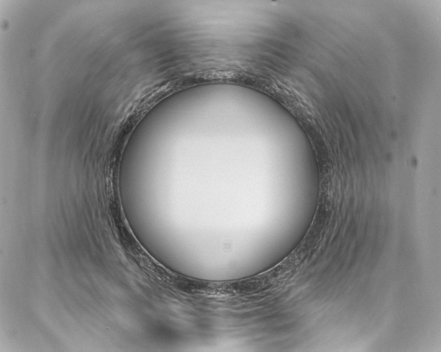 X0000087030743200704161400