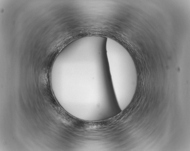 X0000087030746200704161400