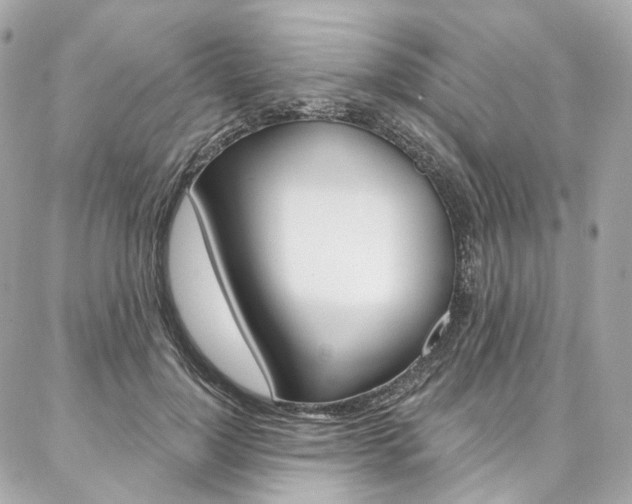 X0000087030748200704161400