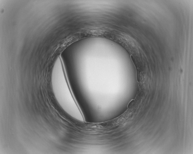 X0000087030752200704161400