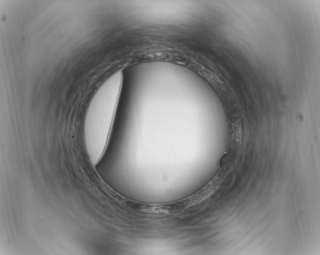 X0000087030754200704161400