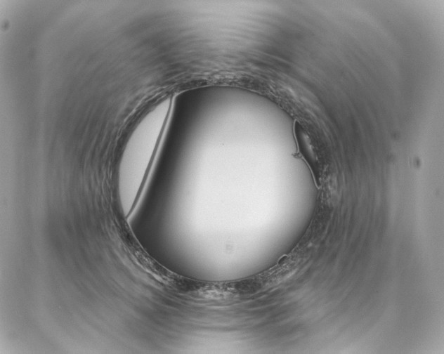 X0000087030756200704161400