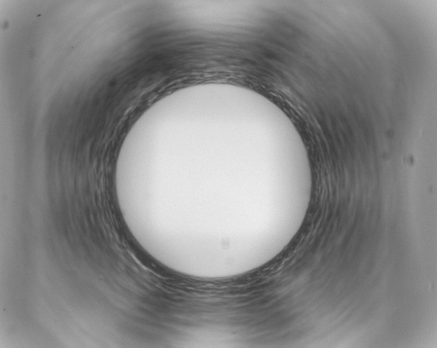 X0000087030760200704161400