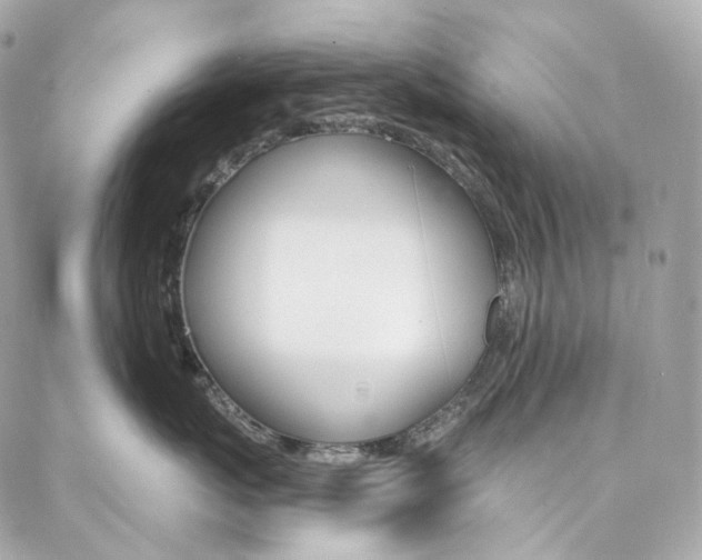 X0000087030767200704161400