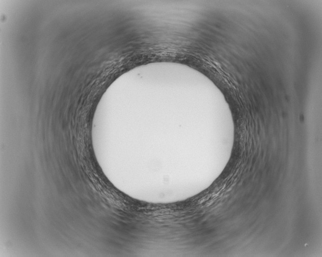 X0000087030769200704161400