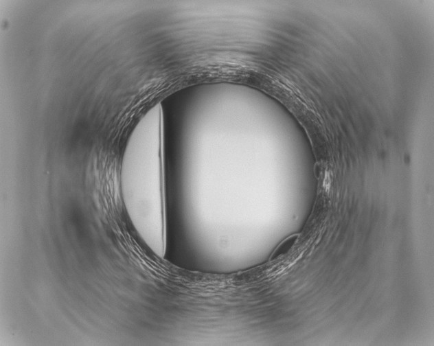 X0000087030771200704161400