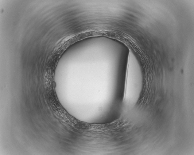 X0000087030773200704161400
