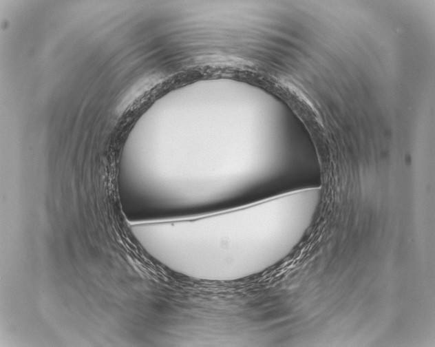 X0000087030775200704161400