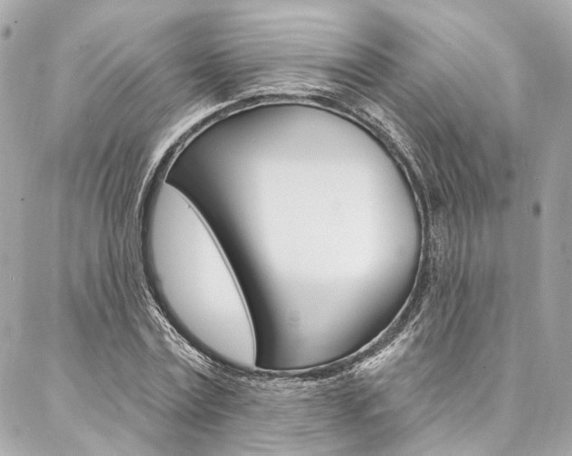 X0000087030779200704161400