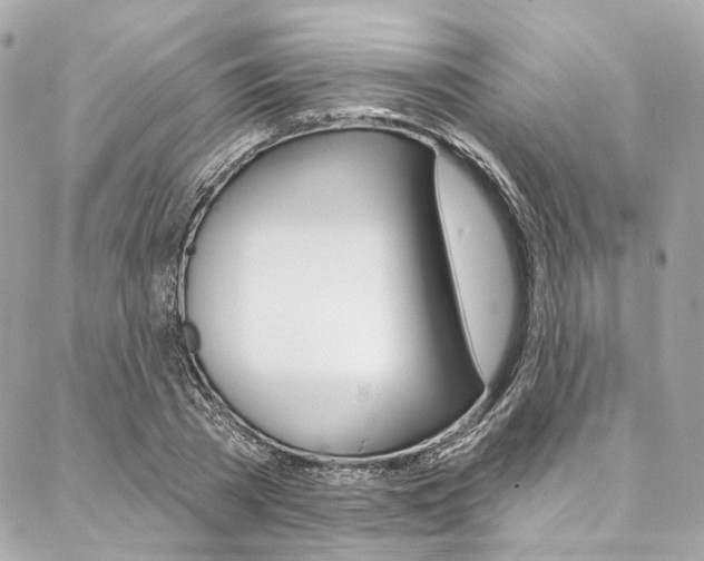 X0000087030785200704161359