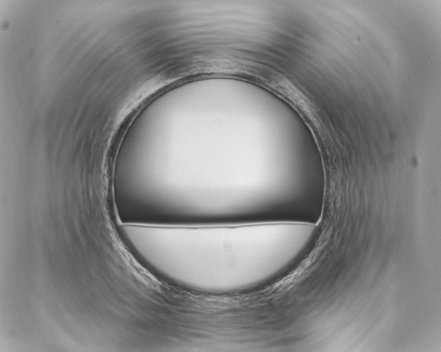 X0000087030787200704161359