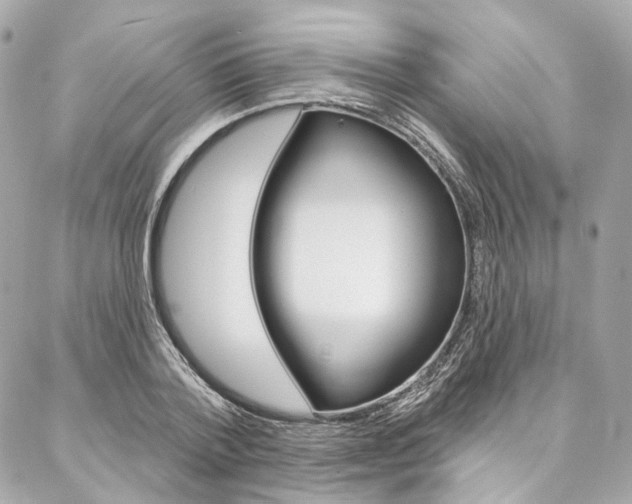 X0000087030788200704161359