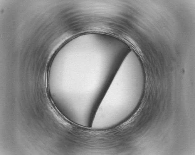 X0000087030796200704161359