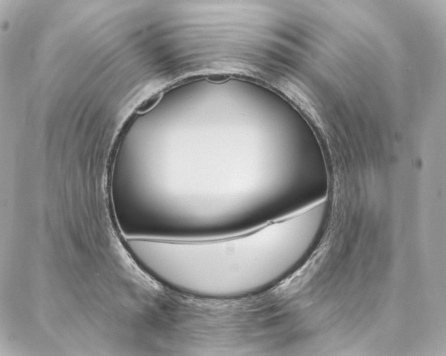 X0000087030797200704161359