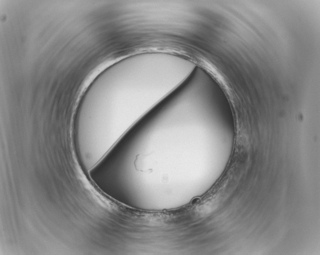 X0000087030803200704161359